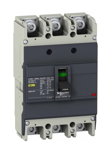 Силовой автомат Schneider Electric Easypact EZC 250, TM-D, 25кА, 3P, 100А